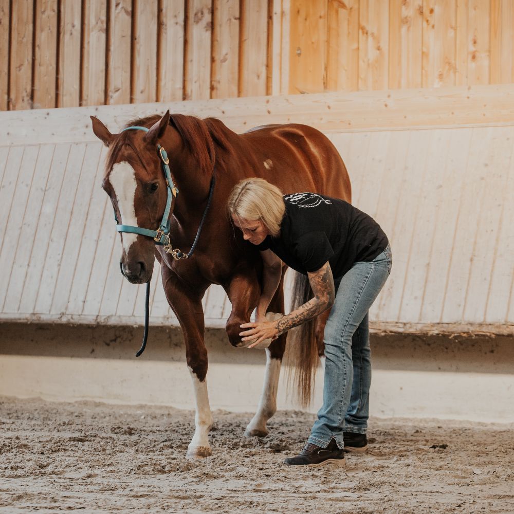Jessica-Jakob-Pferdbewusst-Physiotherapie(2)
