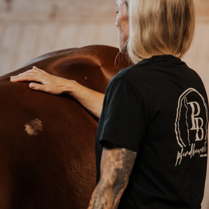 Jessica-Jakob-pferdbewusst-Pferdephysiotherapeutin-Pferdetrainerin-Reitlehrerin-Pferdeosteopathin-Reitunterricht-Pferdetherapie-Waiblingen-Fellbach-Rems-Murr-Kreis-Stuttgart-Baden-Württemberg-10