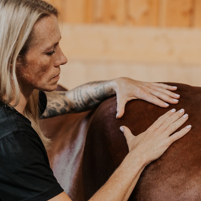 Jessica-Jakob-pferdbewusst-Pferdephysiotherapeutin-Pferdetrainerin-Reitlehrerin-Pferdeosteopathin-Reitunterricht-Pferdetherapie-Waiblingen-Fellbach-Rems-Murr-Kreis-Stuttgart-Baden-Württemberg-11