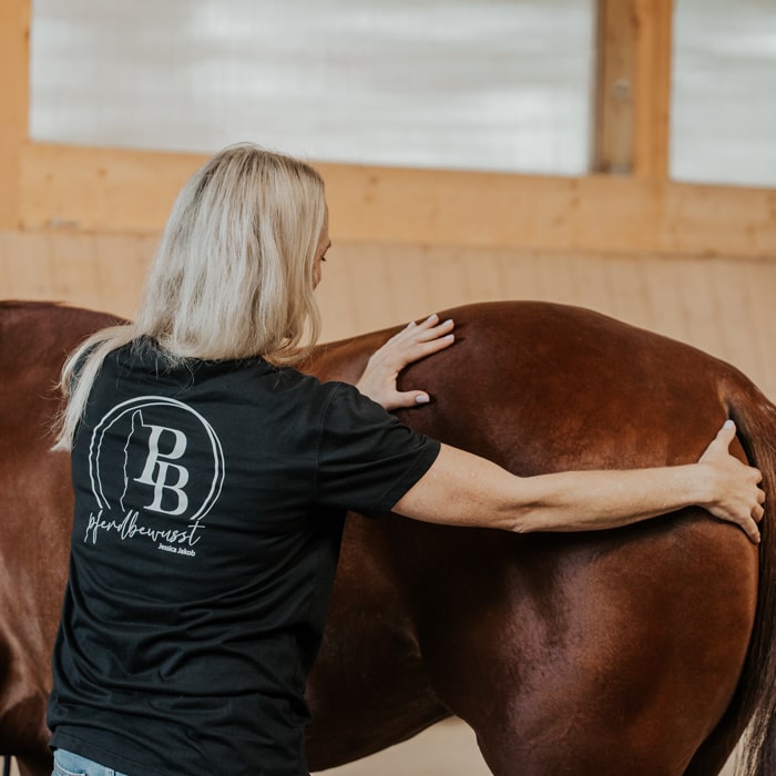 Jessica-Jakob-pferdbewusst-Pferdephysiotherapeutin-Pferdetrainerin-Reitlehrerin-Pferdeosteopathin-Reitunterricht-Pferdetherapie-Waiblingen-Fellbach-Rems-Murr-Kreis-Stuttgart-Baden-Württemberg-12