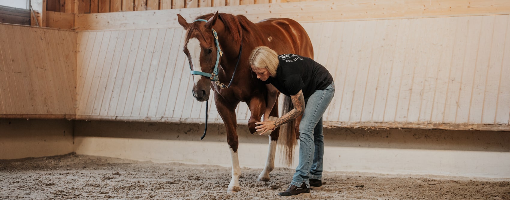 Jessica-Jakob-pferdbewusst-Pferdephysiotherapeutin-Pferdetrainerin-Reitlehrerin-Pferdeosteopathin-Reitunterricht-Pferdetherapie-Waiblingen-Fellbach-Rems-Murr-Kreis-Stuttgart-Baden-Württemberg-13