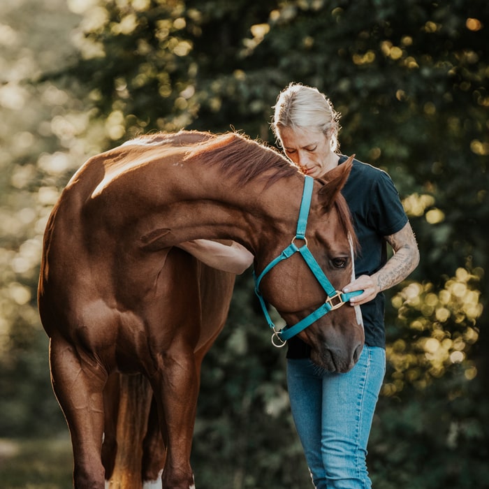 Jessica-Jakob-pferdbewusst-Pferdephysiotherapeutin-Pferdetrainerin-Reitlehrerin-Pferdeosteopathin-Reitunterricht-Pferdetherapie-Waiblingen-Fellbach-Rems-Murr-Kreis-Stuttgart-Baden-Württemberg-2