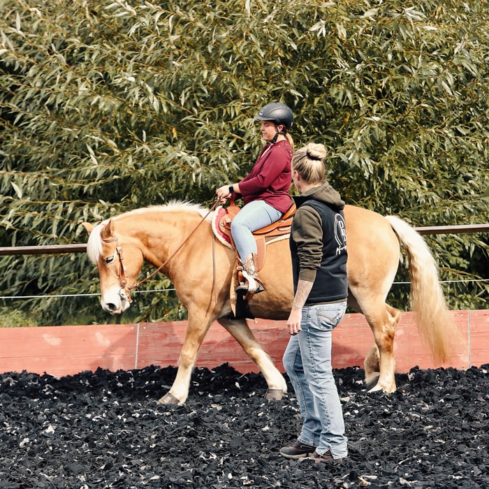 Jessica-Jakob-pferdbewusst-Pferdephysiotherapeutin-Pferdetrainerin-Reitlehrerin-Pferdeosteopathin-Reitunterricht-Pferdetherapie-Waiblingen-Fellbach-Rems-Murr-Kreis-Stuttgart-Baden-Württemberg-9